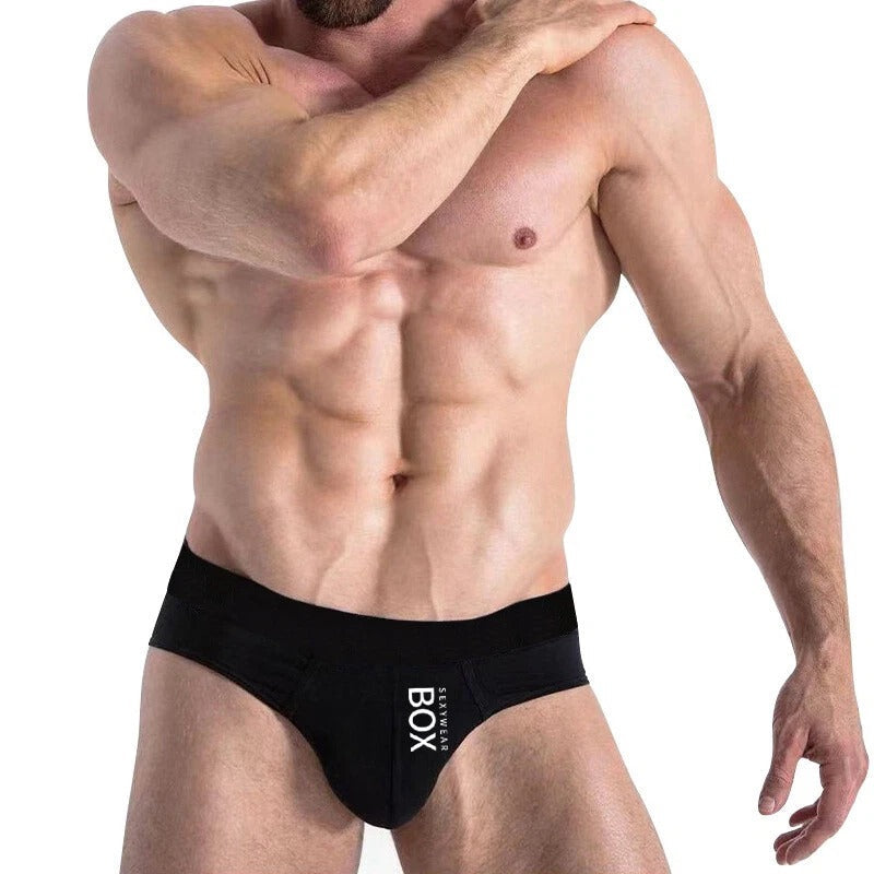 Mens Cotton Briefs Low Waist Bikini Panties Pouch Breathable Underwear