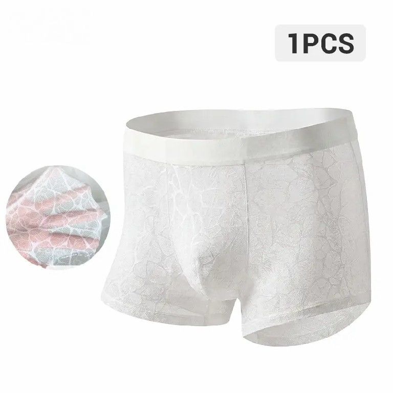 Men's Leopard Print Lace Boxer Briefs
